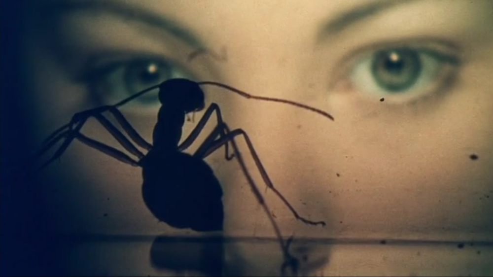 Films in London today: PHASE IV at The Castle Cinema (21 MAR).